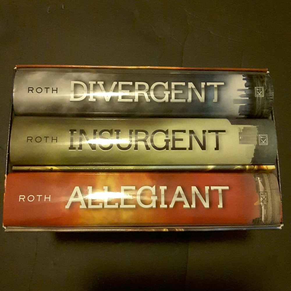The Divergent Series
